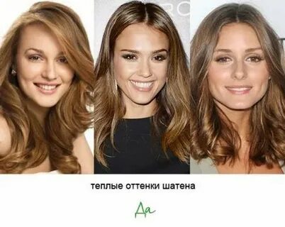 Чем темные отличаются от светлых