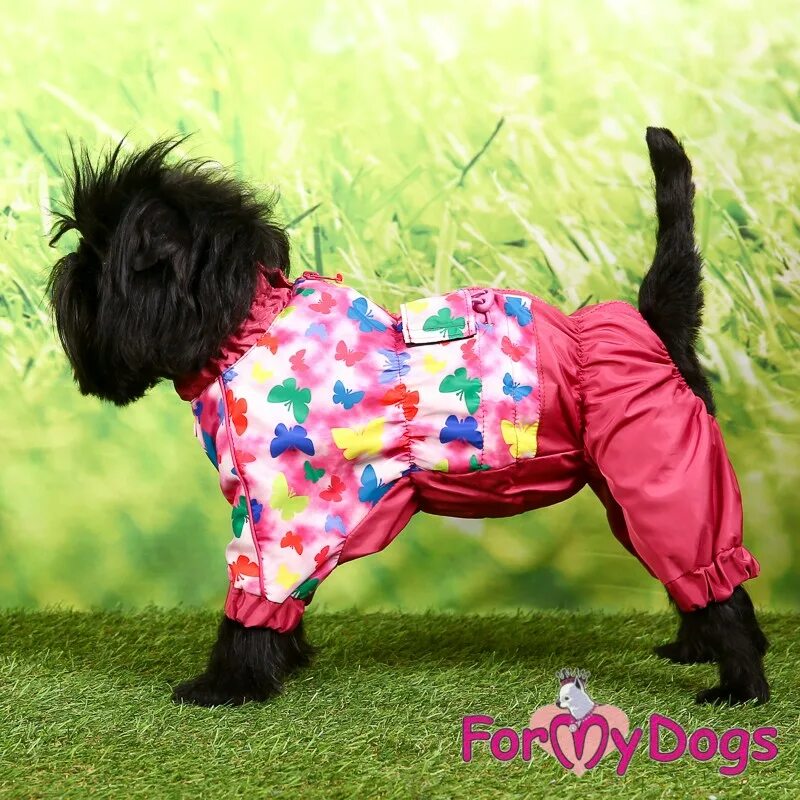 For my dogs дождевик 129ss-2014bm. Дождевик для собаки девочки. Одежда для собак. Дождевик formydogs а2. Дождевик для собак formydogs.