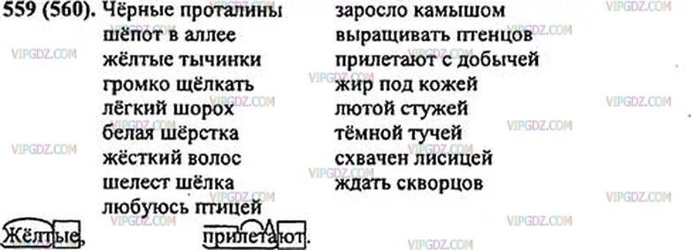 Прочитайте текст инфузия расположенный справа 8 класс. Русский язык 5 класс номер 559. номер 559 по русскому языку 5 класс ладыженская. русский язык 5 класс ладыженская 2 часть упражнение 559.