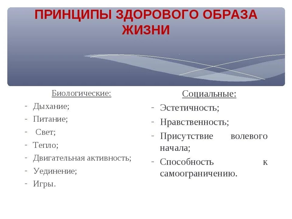 Принципы здорового образа жизни. Принципы ЗОЖ. Основные принципы здорового образа жизни. ЗОЖ принципы здорового образа жизни. Биологические и социальные принципы ЗОЖ.