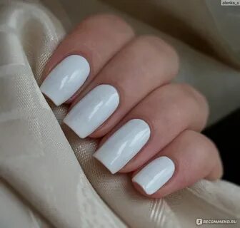 Жеке жыныстық үй мұрағаты