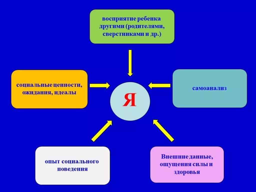 Формирование опыта социального поведения человека