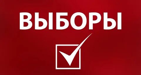 Выборы 20 октября