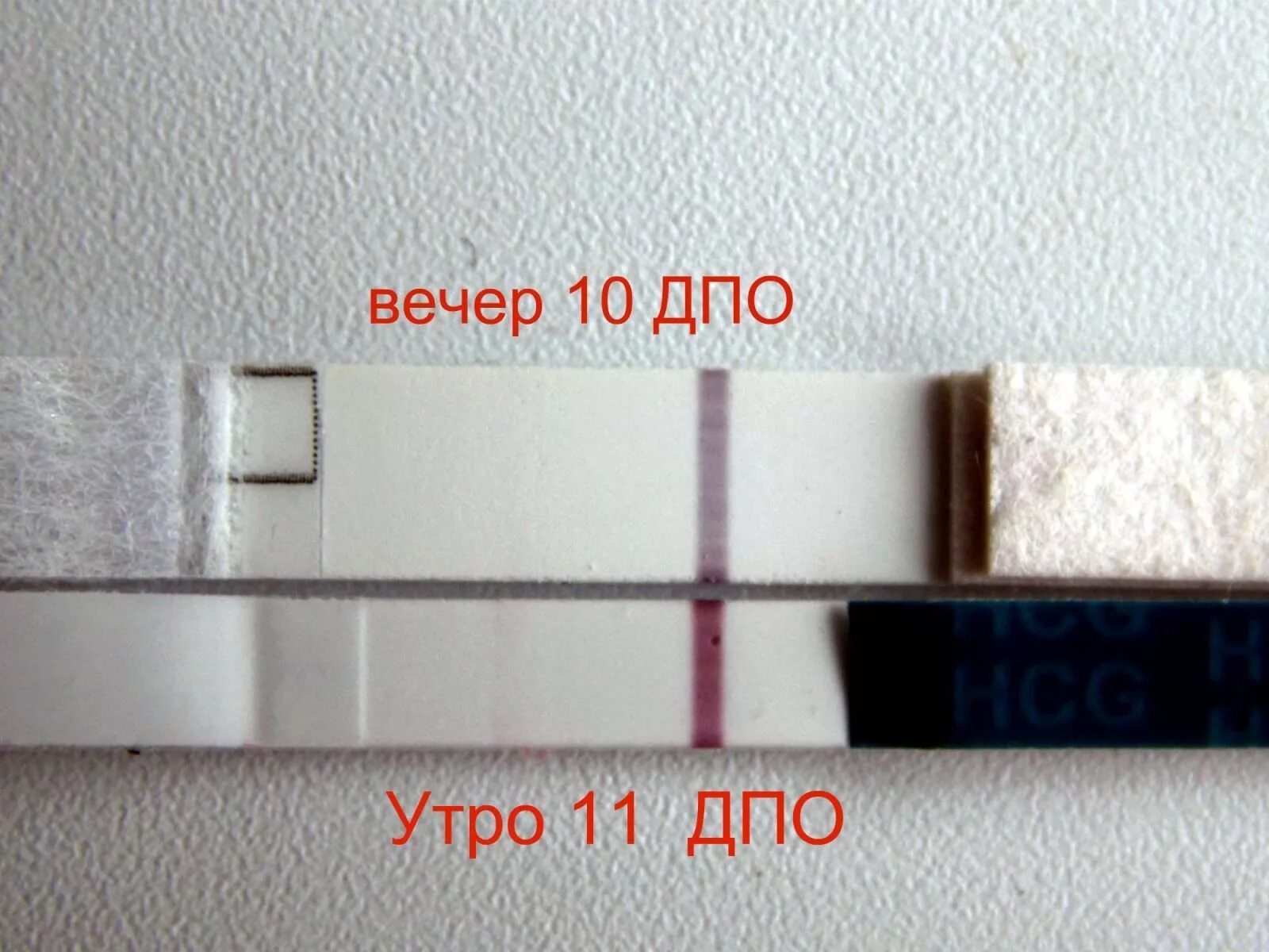 Тест делать вечером. Тест на беременность утром и вечером. 11 ДПО тест положительный. Тест на 8 ДПО утро и вечер. Тест на беременность вечером ДПО.