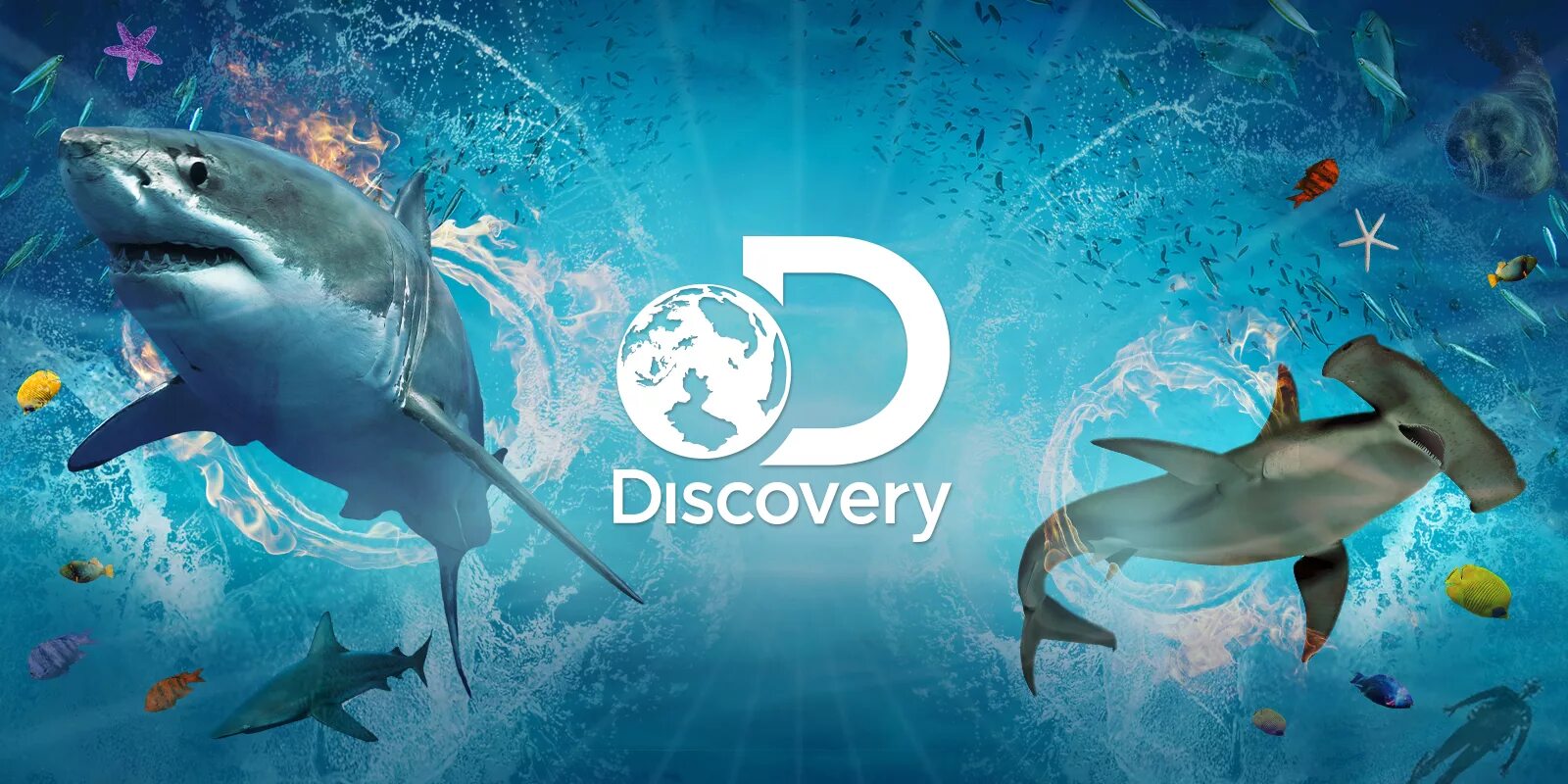 Дискавери канал. Телеканал Discovery channel. Дискавери заставка. Discovery channel заставка.