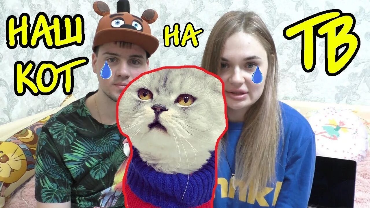 Канал кевина. Билли бой ляпота тв. Котика кевина из лепота тв. Кевин котик ляпота тв. Канал кевина.