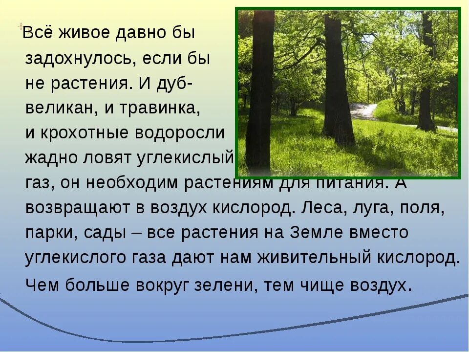 Сообщение о воздухе. Воздух живительный воздух смолистый. Стихи про воздух. Стихи про воздух для детей. Блок река раскинулась течет.