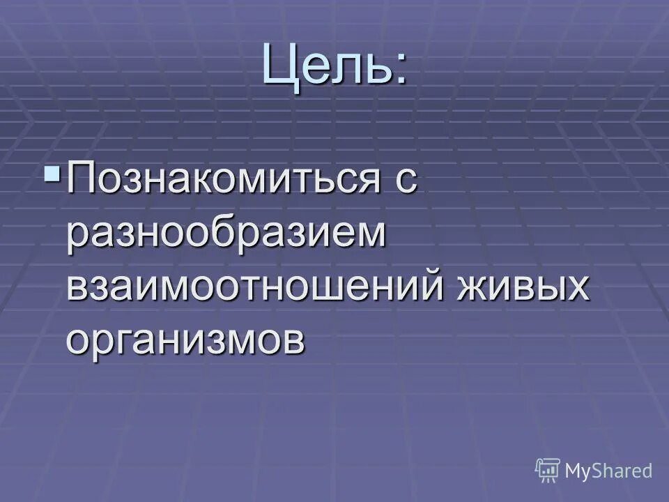 В связи с разнообразием. В связи с разнообразием. В связи с разнообразием. Объясните причины бесконечного многообразия белков. Методические публикации.