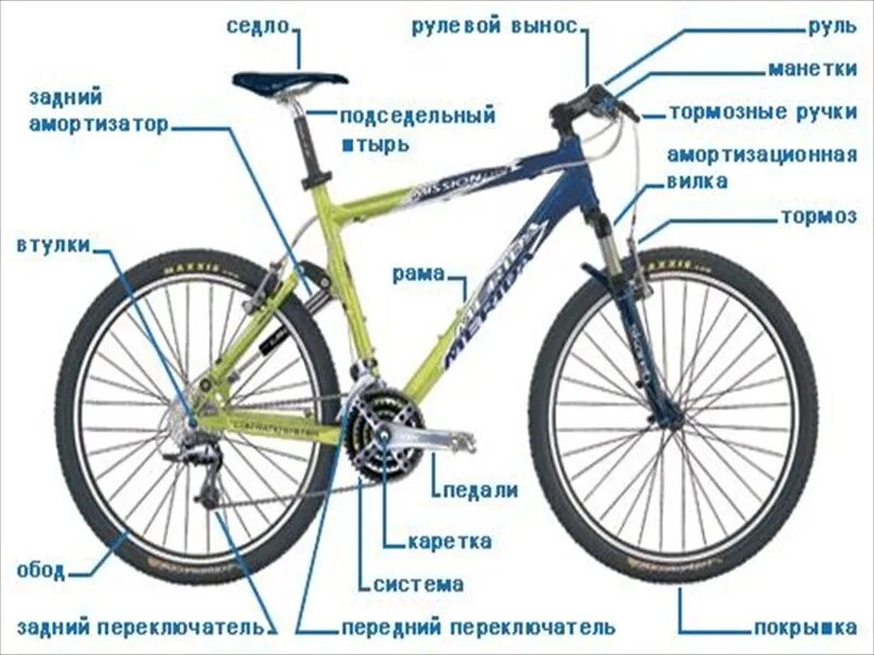 Где выбрать велосипед. Номер рамы велосипеда. Велосипед по номеру на раме. Детали велосипеда названия. Название велосипедов.