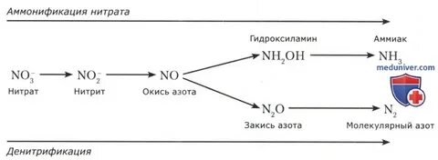 Повышение азота