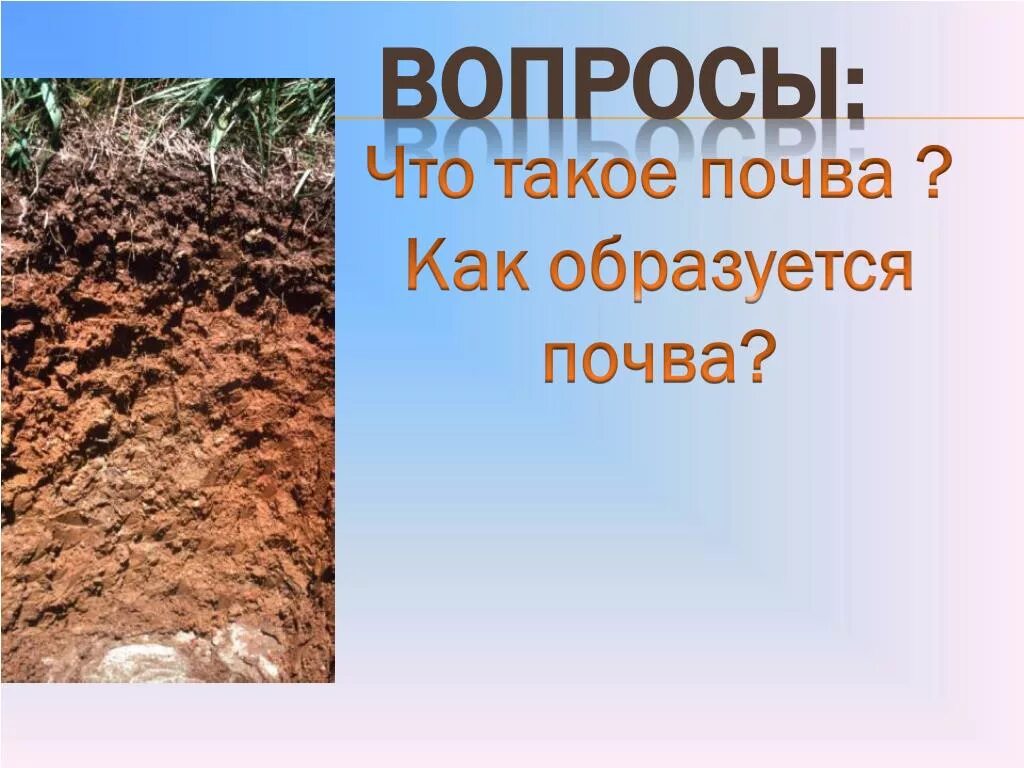 Как формируется почва. Как формируется почва