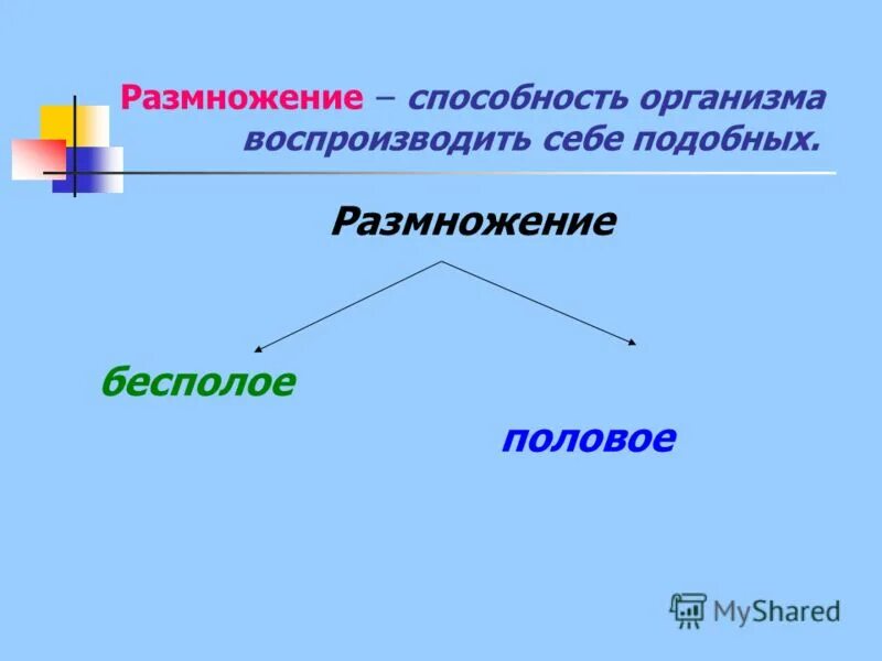 Размножение и воспроизведение. Размножение это в биологии. Воспроизведение организма себе подобных. Воспроизведение организма себе подобных. Воспроизведение биология.