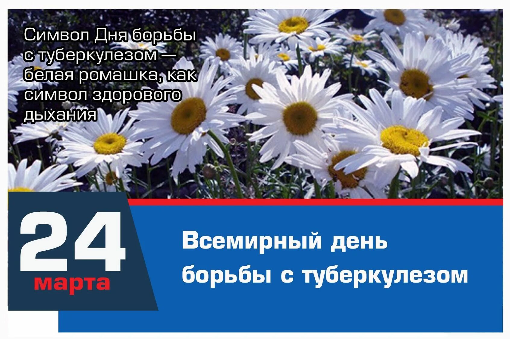 Туберкулез 2022 года. День борьбы с туберкулезом. Всемирный день борьбы с туберкулезом. Всемирный день туберкулеза. День борьба с туберкулезом в России.