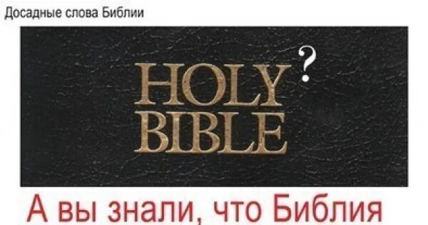 Досадный промах 6. Досадные слова в Библии. Holy Bible. Футболки с текстом из Библии. Слова из букв из Библии.