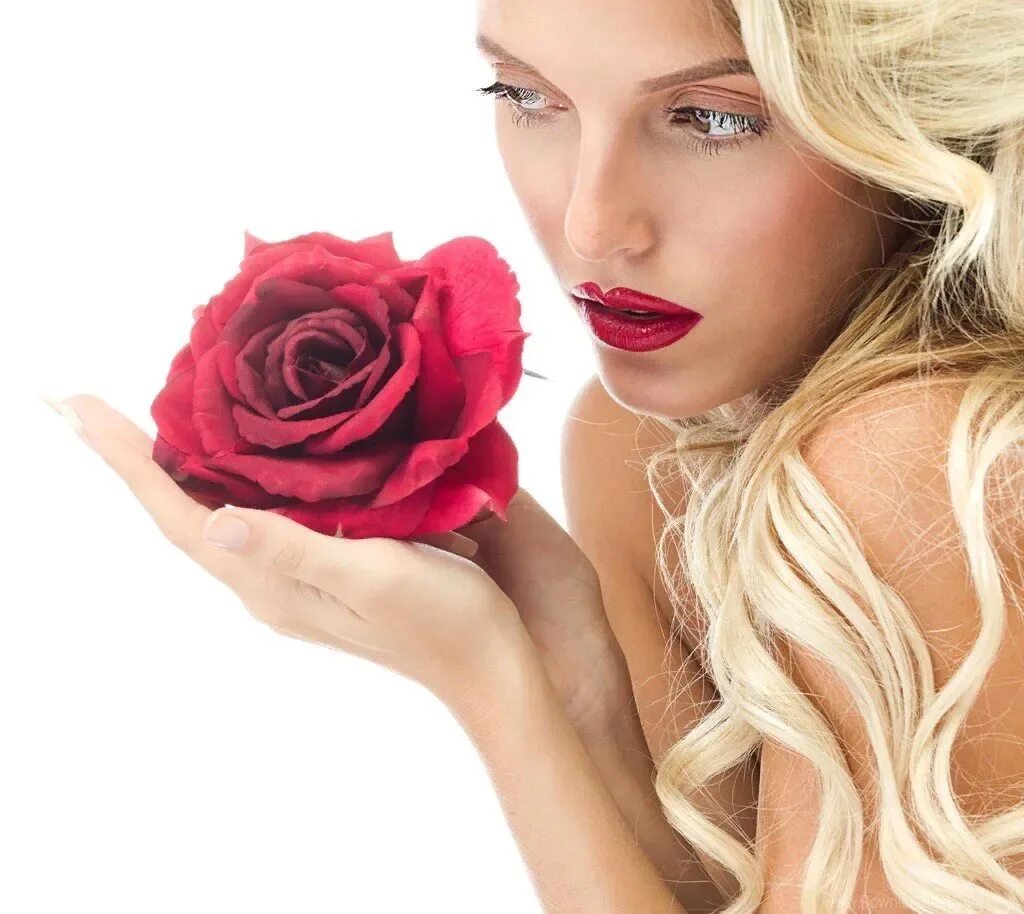 Rose blonde. Девушка роса. Девушка с розой. Девушка и красивые розы. Блондинка с розами.
