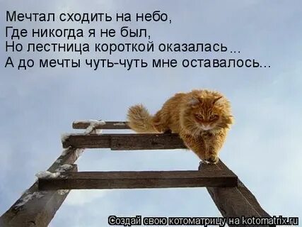 Включи полез