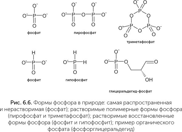 Ортофосфат кислота формула. Химическая формула структурная фосфор. Пирофосфат формула структурная. Фосфат строение. Пирофосфат натрия структурная формула.