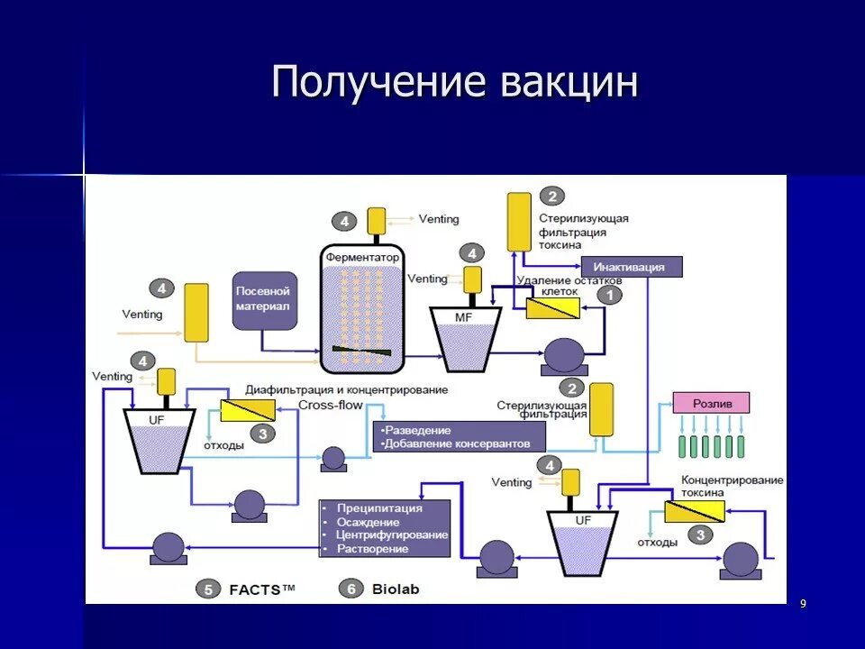 Живые вакцины приготовление. Вакцины АКДС схема производства. Схема производства вакцин биотехнология. Технологическая схема производства вакцин. Технологичекая Хема производства вакцин.