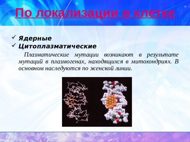 В каких клетках происходит мутации. Цитоплазматические мутации. ядерные и цитоплазматические мутации. цитоплазматические мутации у человека.