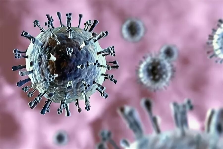 Грипп саратов. Вирус h1n1 испанка. Вирус гриппа под микроскопом h1n1. Вирус свиного гриппа (h1n1). Испанский грипп вирус под микроскопом.