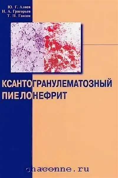 Аляев ю г