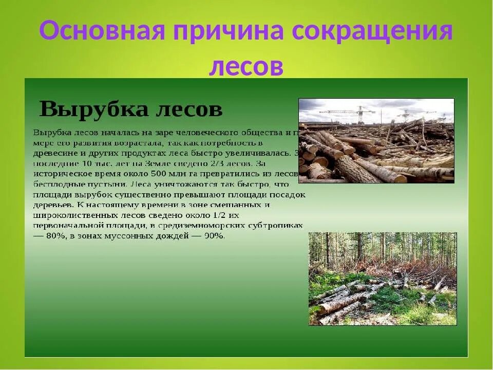 Главная причина сокращения лесов в мире. Причины сокращения лесов в россии. Главная причина сокращения лесов в мире. Причины сокращения лесов. Главная причина сокращения лесов в мире.