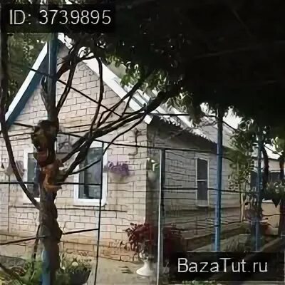 Погода вревское