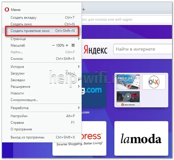 Опера открывается с сайта. Режим инкогнито в опере. Как включить инкогнито в опере. Приватная вкладка в опере. Вкладка инкогнито опера.