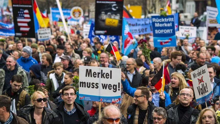 Deutschland braucht die afd. Deutschland braucht die afd. Afd партия. Deutschland braucht die afd. Afd плакаты.