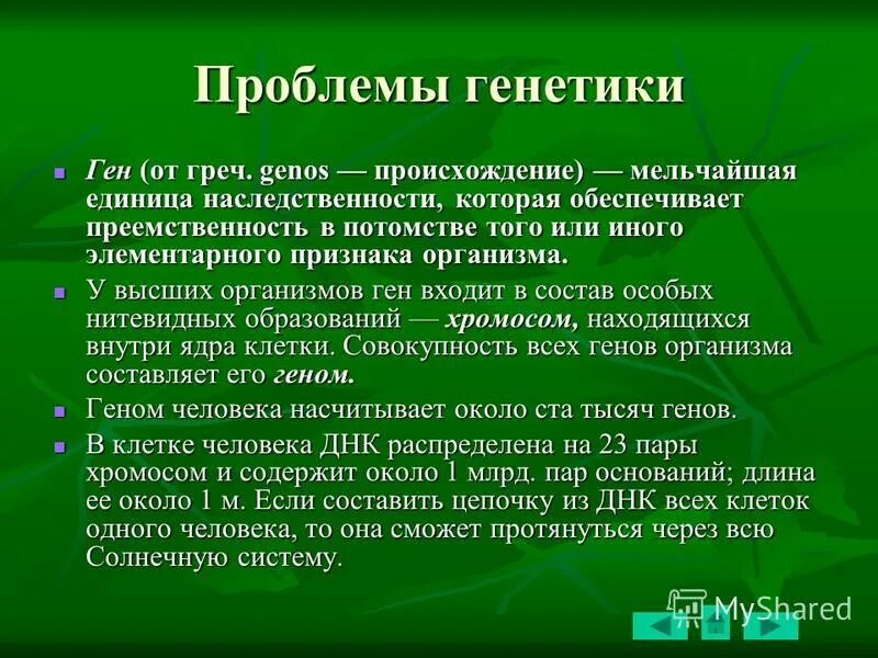 Проблемы генетики. Основные проблемы генетики человека. Проблемы генетической безопасности генетики человека. Проблемы евгеники общие этические принципы в медицинской генетике. Проблемы генетики человека.