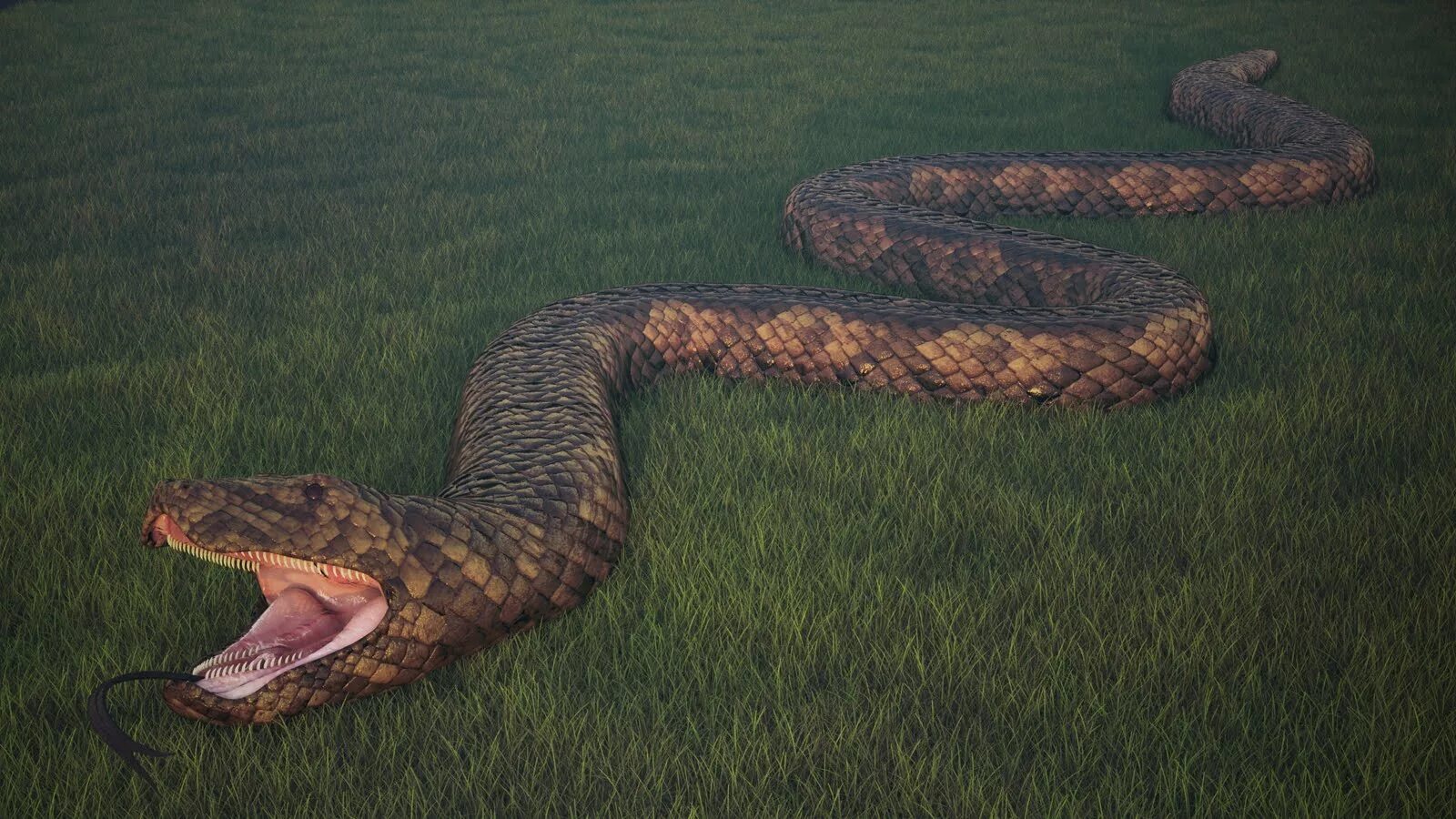 Самая гигантская анаконда. Анаконда змея. Река Амазонка змея Анаконда. Самая большая змея в мире Анаконда. ТИТАНОБОА змея и Анаконда.