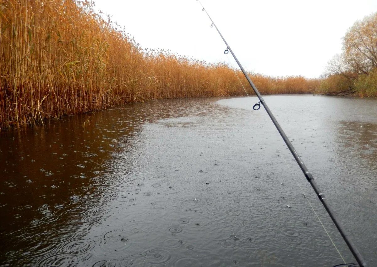 Ловить погоду. Рыбалка в дождь. Рыбалка под дождем. Рыбалка в ливень. Рыбалка в непогоду.