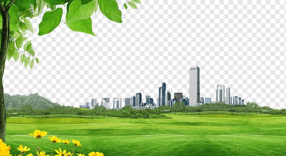 Png park. Фон зеленый город. Панорама зеленого города. Городская среда фон для фотошопа. Город зелёный для фотошопа.