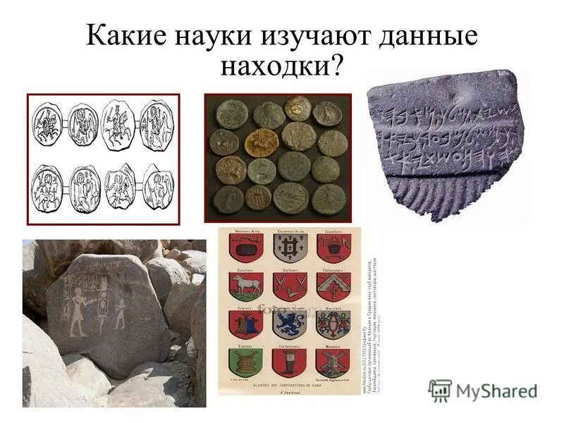 палеонтологические доказательства теории эволюции. о чем свидетельствует данные находки биология. палеонтологическая эволюция. научная теория происхождения человека. о чем свидетельствует данные находки биология.