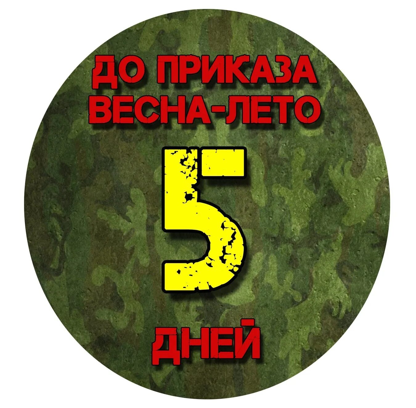 5 Дней до дембеля. 5 Дней до ДМБ. Пять дней до приказа. Осталось 100 дней до дембеля. Дмб 5