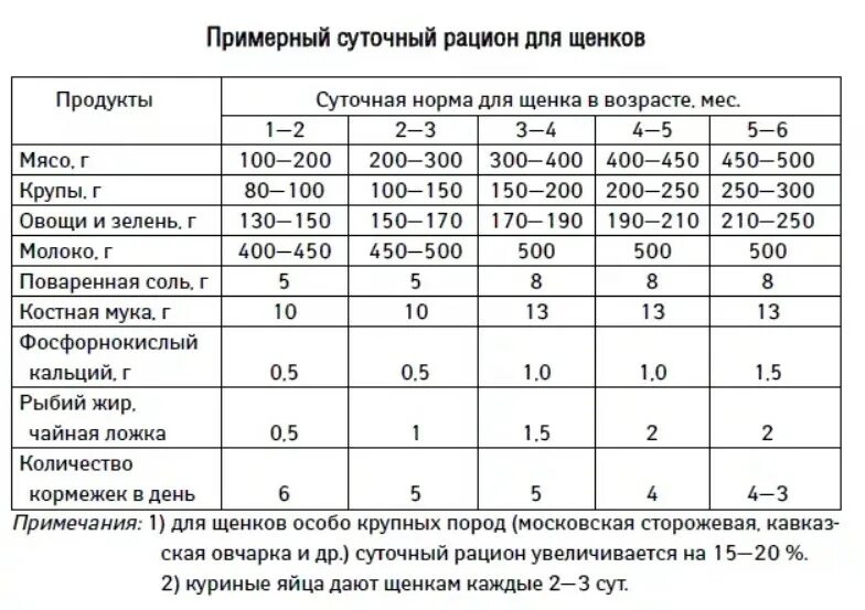 Что можно щенкам в 2 месяца