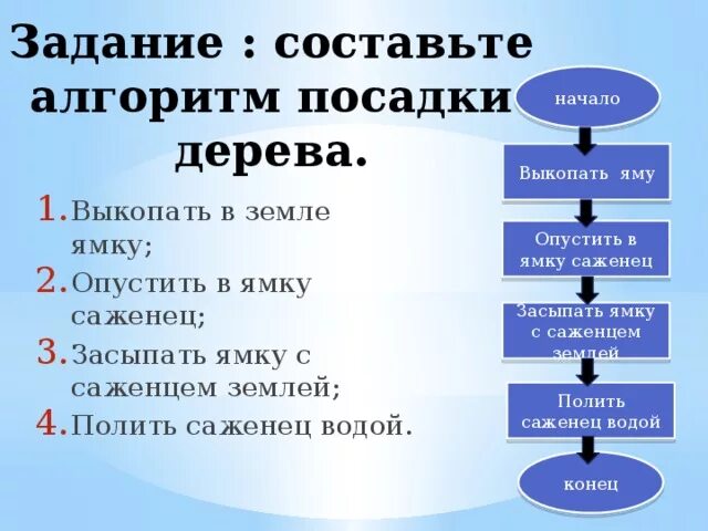 Посадка дерева алгоритм. Алгоритм посадки дерева.