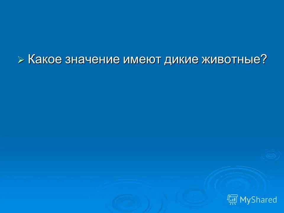 Какое значение имеет животных и человека. Дикий значение. Какое значение имеет фотография. 1 Какое значение имеет Дикие животные и жизни. Какое значение имеет уайлатера?.