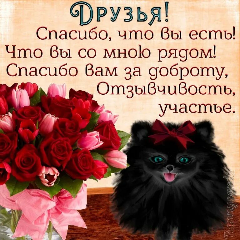 Спасибо милые за то что. Открытки с благодарностью. открытки с благодарностью друзьям. красивые открытки с благодарностью друзьям. спасибо друг.