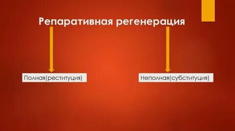 Полная регенерация
