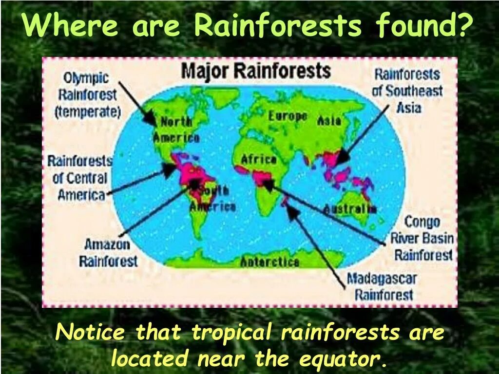 Where are Rainforests. Where are the Rain Forests?. Where the Rainforest is. Rainforests on the Map. Where are the glass