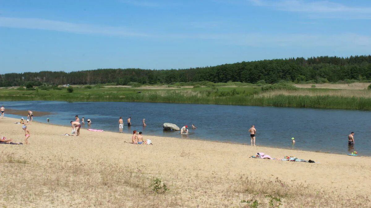 Боровое воронеж речка. Пляж сосновый бор воронеж. Кафе сосновый бор пляж. Сосновый бор усманка воронеж. Пляж сосновый бор воронеж.