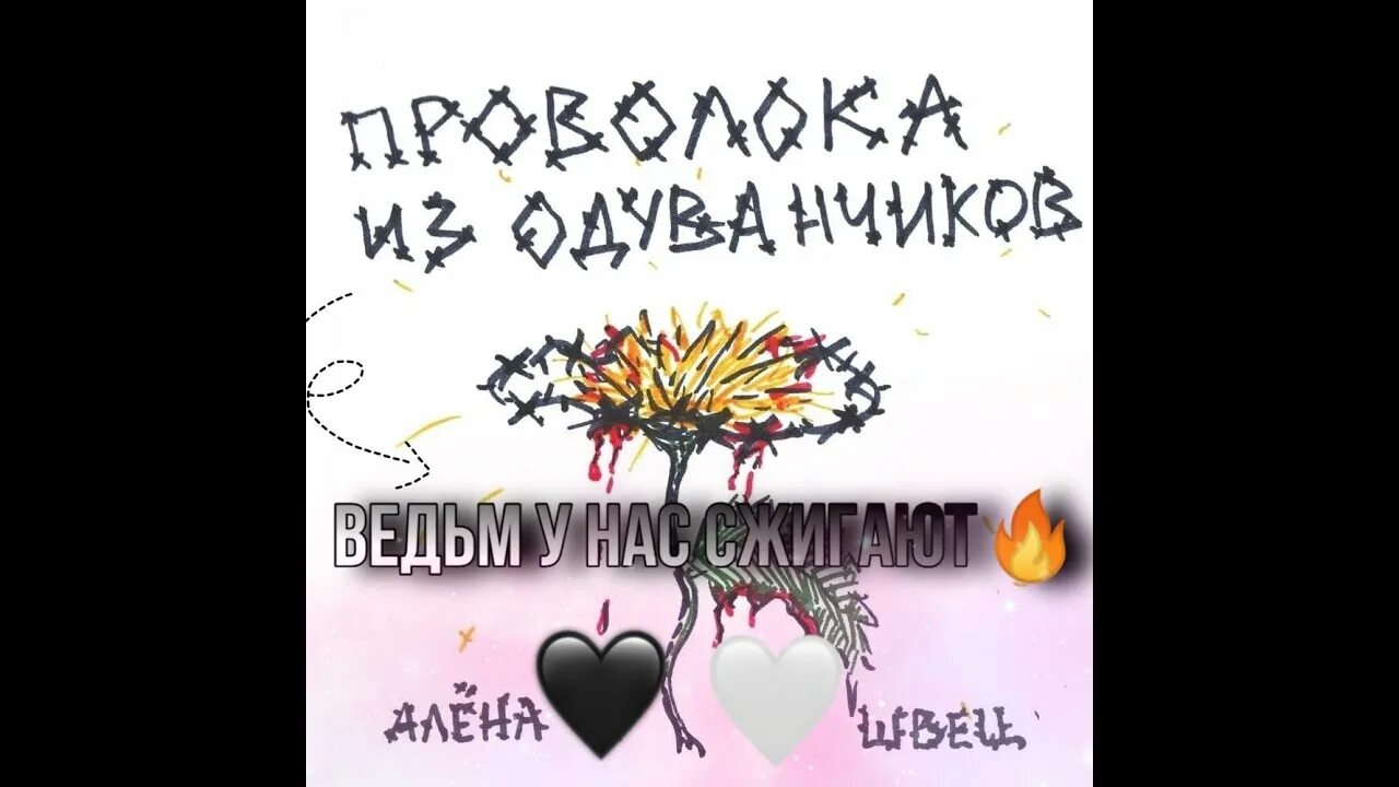 Алена Швец ведьм у нас сжигают. Ведьм у нас сжигают слова. Песня ведьма Алена Швец.