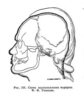 Реконструкция методики