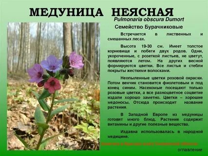 Неясная информация