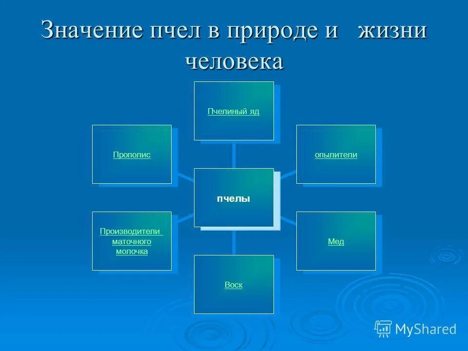 Объясни значение человек природа. Значение пчёл в природе и жизни человека. Значение пчел в жизни человека. Роль пчел в природе и жизни человека. Начение пчёл в жизни человека.