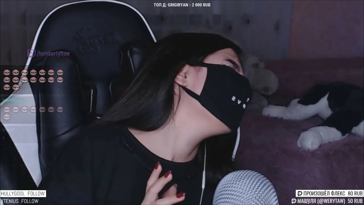 Тендерлибае несовместимы