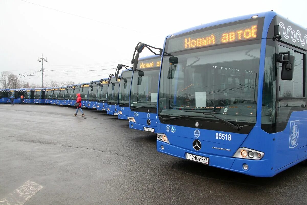 Мосгортранс купить автобус. Автобус Москва. Московский автобус. Общественный транспорт Москвы. Автобус Мосгортранс.