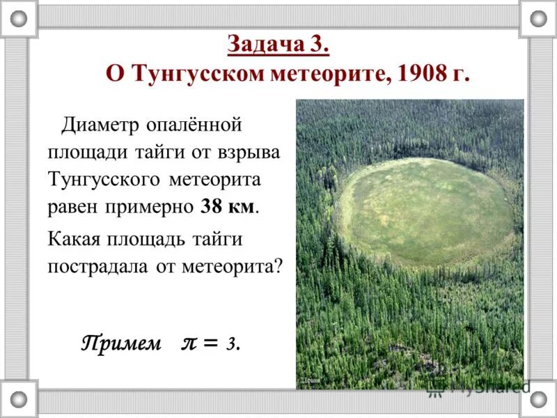 Площадь тайги в россии в процентах