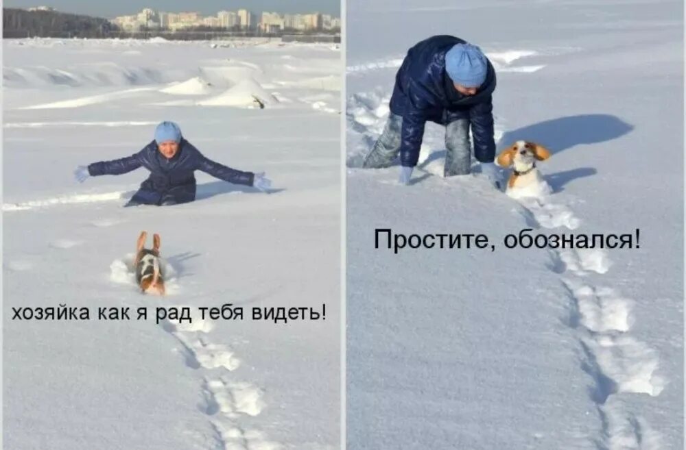 Я очень рада была тебя увидеть. Дикие демотиваторы. Я тебе всегда рада. Тигр демотиватор. Я очень рада за вас.